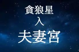 夫妻宮 貪狼|貪狼星在夫妻宮